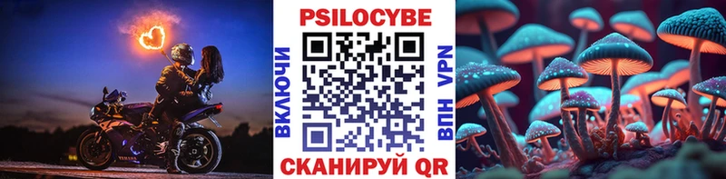 Галлюциногенные грибы GOLDEN TEACHER Буйнакск